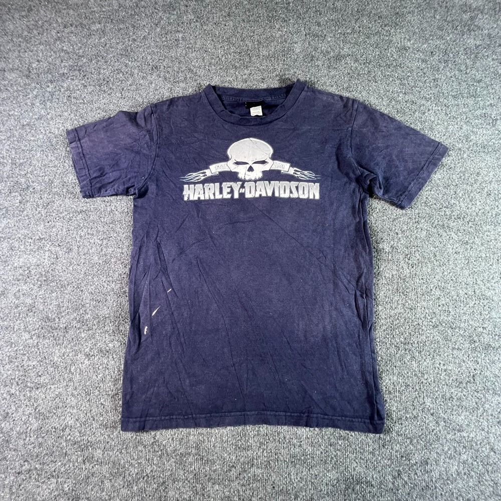 Vintage Harley Davidson T Shirt Mens Medium Blue Holoubek Skull Streetwear